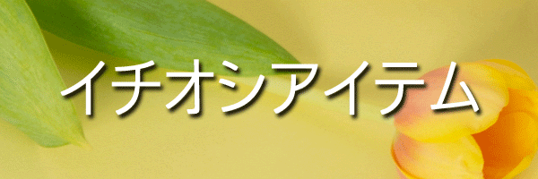 靴・バッグのダイアナ通販サイト ｜ 【dianashoes.com】
